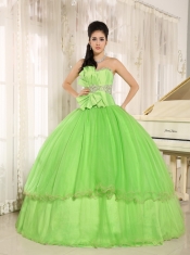 Beaded Bowknot Quinceanera Dress For Spring Green Custom Made