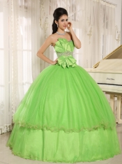 Beaded Bowknot Quinceanera Dress For Spring Green Custom Made
