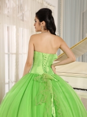 Beaded Bowknot Quinceanera Dress For Spring Green Custom Made