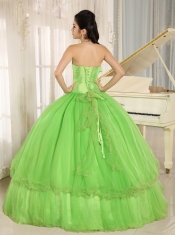 Beaded Bowknot Quinceanera Dress For Spring Green Custom Made