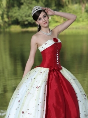 Quinceanera Dress Flower Decorate Strapless Neckline Colorful