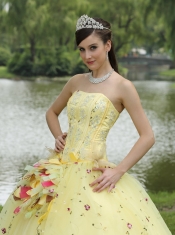 Quinceanera Dress For 2013 Appliques Embroidery and Hand Made Flowers Light Yellow  Strapless Floor-length