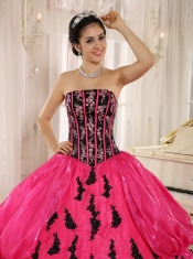 Quinceanera Dress Hot Pink 2013 New Arrival Strapkess Embroidery Decorate