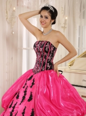 Quinceanera Dress Hot Pink 2013 New Arrival Strapkess Embroidery Decorate