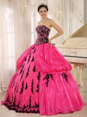 Quinceanera Dress Hot Pink 2013 New Arrival Strapkess Embroidery Decorate