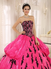 Quinceanera Dress Hot Pink 2013 New Arrival Strapkess Embroidery Decorate