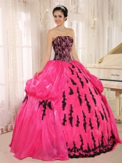 Quinceanera Dress Hot Pink 2013 New Arrival Strapkess Embroidery Decorate