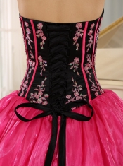 Quinceanera Dress Hot Pink 2013 New Arrival Strapkess Embroidery Decorate