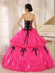 Quinceanera Dress Hot Pink 2013 New Arrival Strapkess Embroidery Decorate