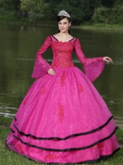 Quinceanera Dress The Most Popular Long Sleeves Appliques Decorate Fushsia With V-neck