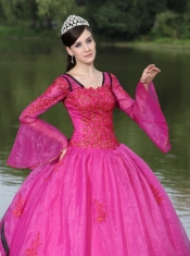 Quinceanera Dress The Most Popular Long Sleeves Appliques Decorate Fushsia With V-neck