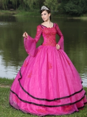 Quinceanera Dress The Most Popular Long Sleeves Appliques Decorate Fushsia With V-neck