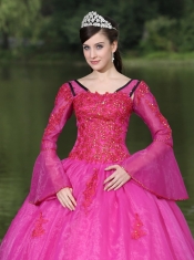 Quinceanera Dress The Most Popular Long Sleeves Appliques Decorate Fushsia With V-neck