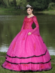 Quinceanera Dress The Most Popular Long Sleeves Appliques Decorate Fushsia With V-neck