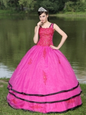 Quinceanera Dress The Most Popular Long Sleeves Appliques Decorate Fushsia With V-neck