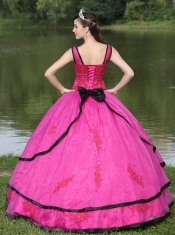 Quinceanera Dress The Most Popular Long Sleeves Appliques Decorate Fushsia With V-neck