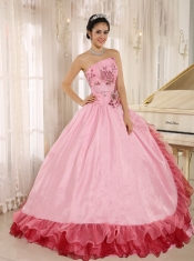 Quinceanera Dress With Applqiues and Hand Made   Flowers
