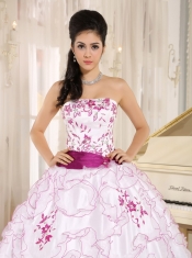 Quinceanera  Dress With Embroidery Decorate White   Organza Strapless