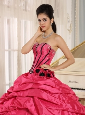 Quinceanera Dress With Pink Beaded and Hand Made Flowers Pick-ups For Custom Made
