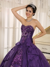 Quinceanera Dress With Sweetheart In 2013 Eggplant Purple Embroidery