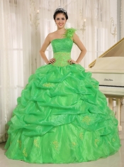 Quinceanera Dress With Embroidery and Pick-ups Decorate Spring Green One Shoulder
