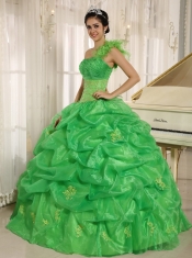 Quinceanera Dress With Embroidery and Pick-ups Decorate Spring Green One Shoulder