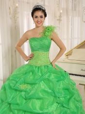 Quinceanera Dress With Embroidery and Pick-ups Decorate Spring Green One Shoulder