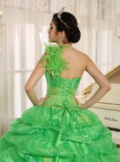 Quinceanera Dress With Embroidery and Pick-ups Decorate Spring Green One Shoulder