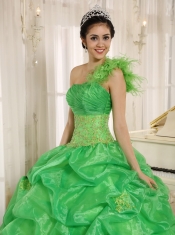 Quinceanera Dress With Embroidery and Pick-ups Decorate Spring Green One Shoulder