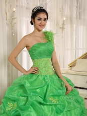 Quinceanera Dress With Embroidery and Pick-ups Decorate Spring Green One Shoulder