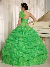 Quinceanera Dress With Embroidery and Pick-ups Decorate Spring Green One Shoulder