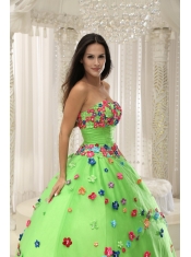 Quninceaera Gown For Custom Made Appliques Decorate Bodice