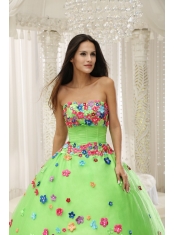 Quninceaera Gown For Custom Made Appliques Decorate Bodice