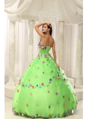 Quninceaera Gown For Custom Made Appliques Decorate Bodice