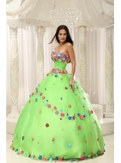 Quninceaera Gown For Custom Made Appliques Decorate Bodice