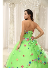 Quninceaera Gown For Custom Made Appliques Decorate Bodice