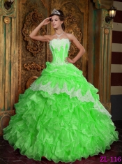 2013 Spring Green Ball Gown Strapless With Floor-length Ruffles Organza Quinceanera Dress