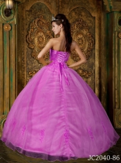 Elegant Rose Pink Ball Gown Strapless Floor-length Appliques Organza Quinceanera Dress