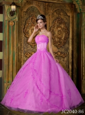 Elegant Rose Pink Ball Gown Strapless Floor-length Appliques Organza Quinceanera Dress