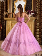 Lovely Pink Ball Gown Strapless With Floor-length Appliques Tulle In 2013 For Quinceanera Dress