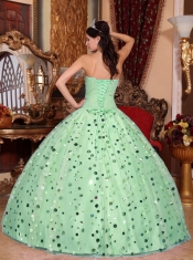 Quinceanera Dress In Apple Green Ball Gown With Sweetheart Floor-length Tulle Sequins In 2013