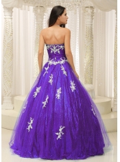 Quinceanera Dress With Wonderful A-line And Appliques Paillette Over Skirt Tulle In 2013
