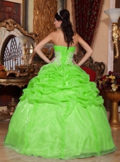 Spring Green Ball Gown Strapless Elegant Organza Appliques Quinceanera Dress