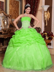 Spring Green Ball Gown Strapless Elegant Organza Appliques Quinceanera Dress
