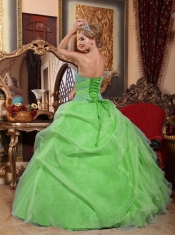 Spring Green Ball Gown Sweetheart Organza Quinceanera Dress with Appliques and Ruched