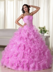 2014 Pink Ball Gown Sweet-hearet Floor-length Organza Appliques Quinceanera Dress