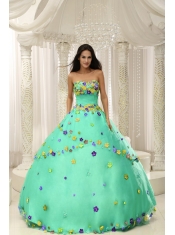 Apple Green Ball Gown 2013 Quinceanera Dresses For Custom Made Appliques Decorate Bodice