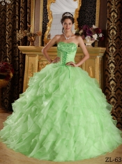 Apple Green Strapless Lace-up Satin and Organza Embroidery with Beading 2014 Spring Quinceanera Dresses
