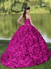 Appliques and Pick-ups Fuchsia Brush Train Exquisite Style For 2013 Quinceanera Dress