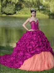 Appliques and Pick-ups Fuchsia Brush Train Exquisite Style For 2013 Quinceanera Dress